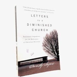 Letters to a Diminished Church