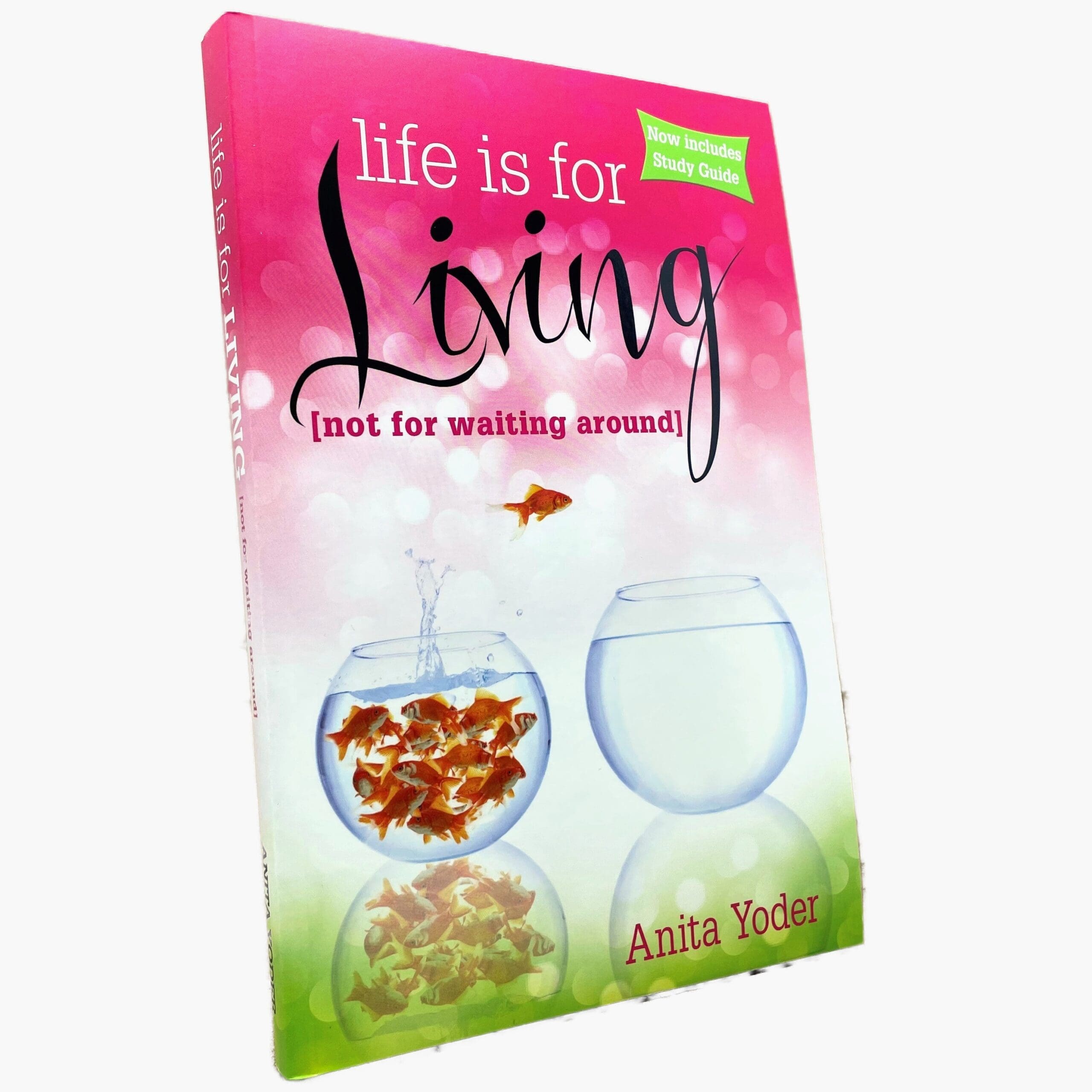Life Is For Living