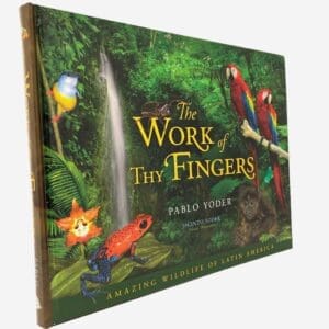 The Work of Thy Fingers