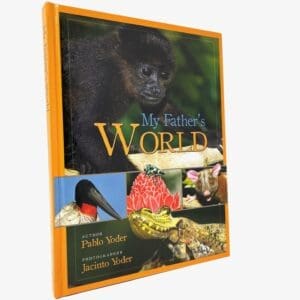 My Father's World