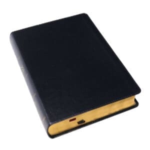 The Open Bible KJV