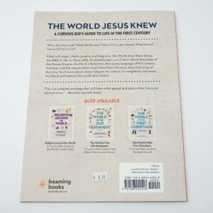 Alternative view of The World Jesus Knew