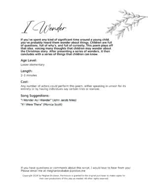 Alternative view of I Wonder