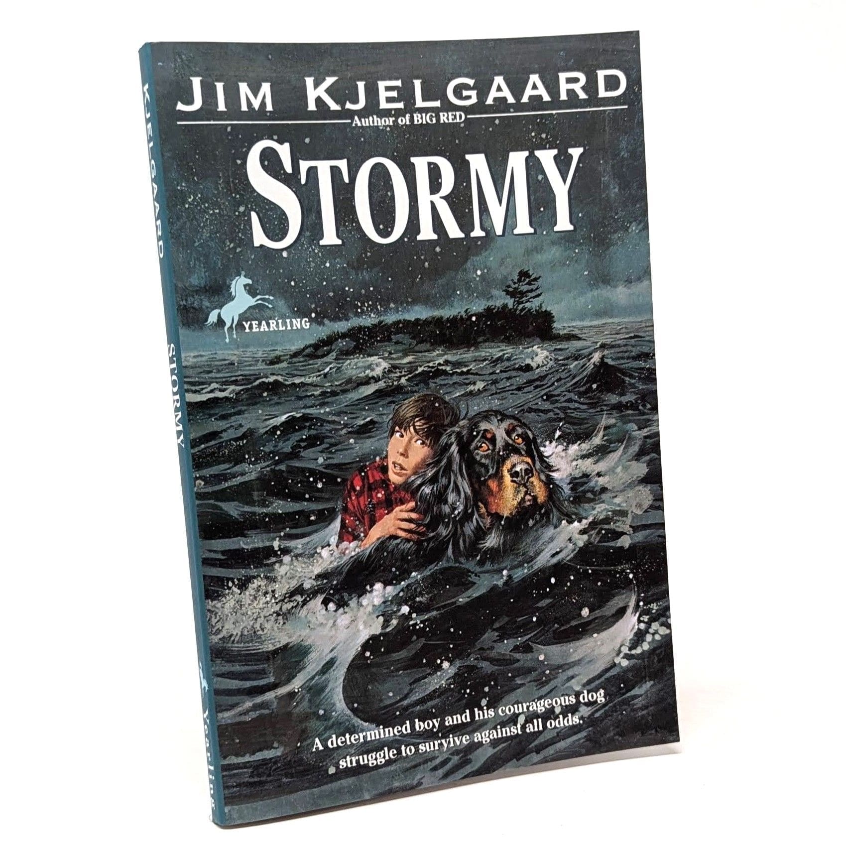 Stormy Stormy