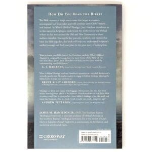 Alternative view of What is Biblical Theology?