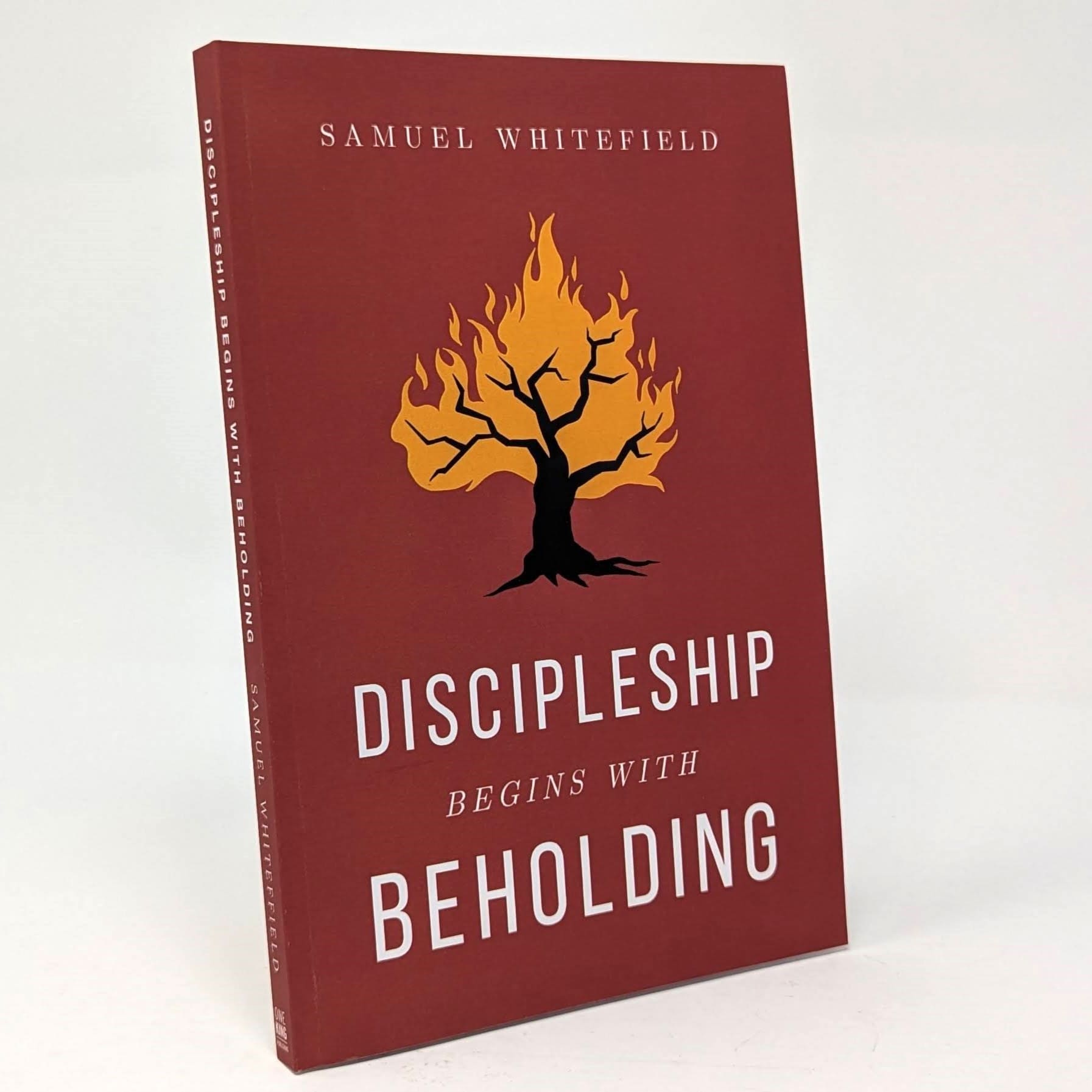 Discipleship Begins with Beholding
