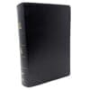 NET Bible Full Notes