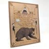Brother Hugo and the Bear