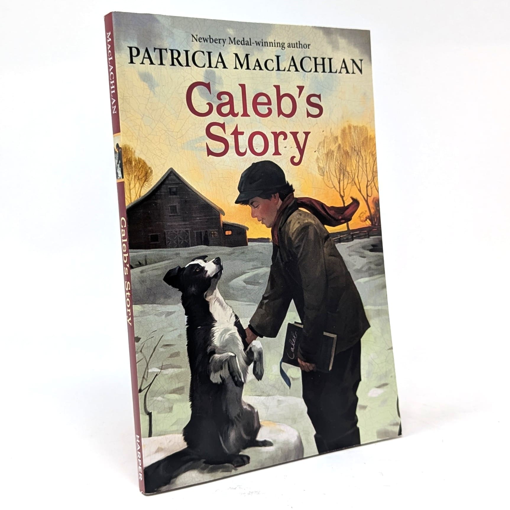 Caleb's Story Caleb's Story