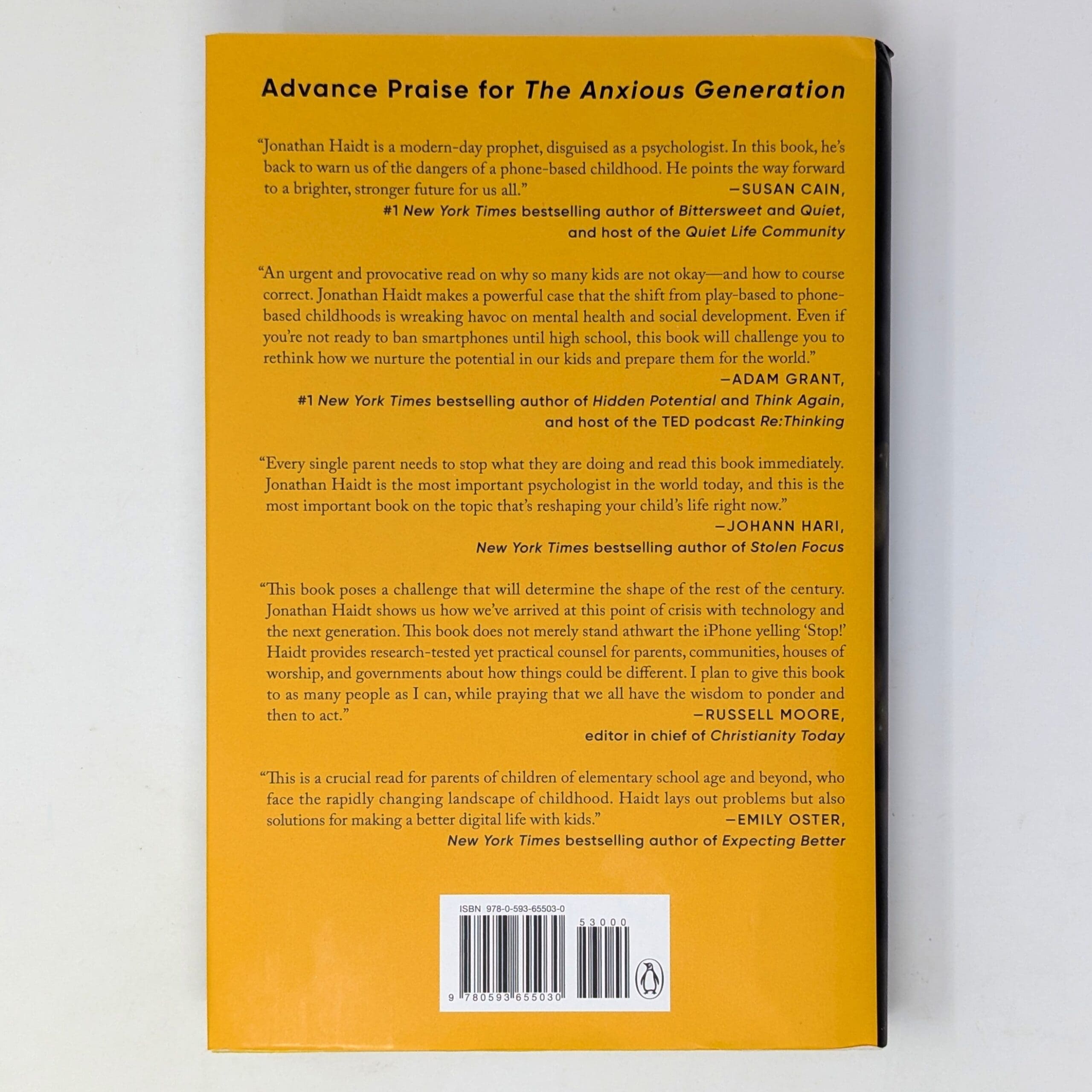 The Anxious Generation - Image 2